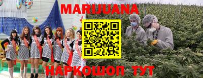 шишки Краснокаменск