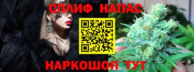 стафф Краснодар