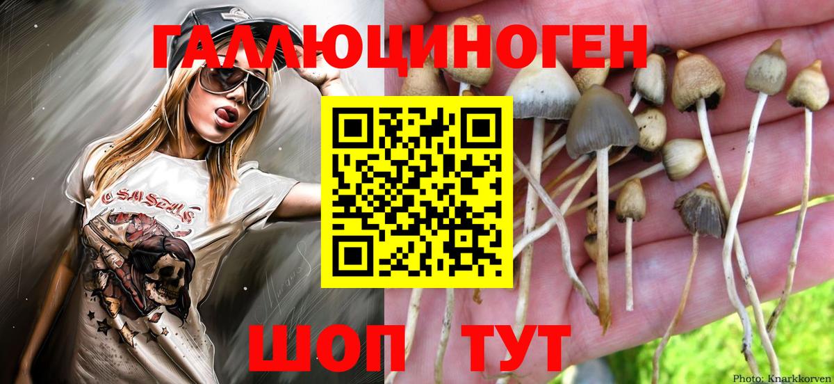 Галлюциногенные грибы мицелий Заволжье