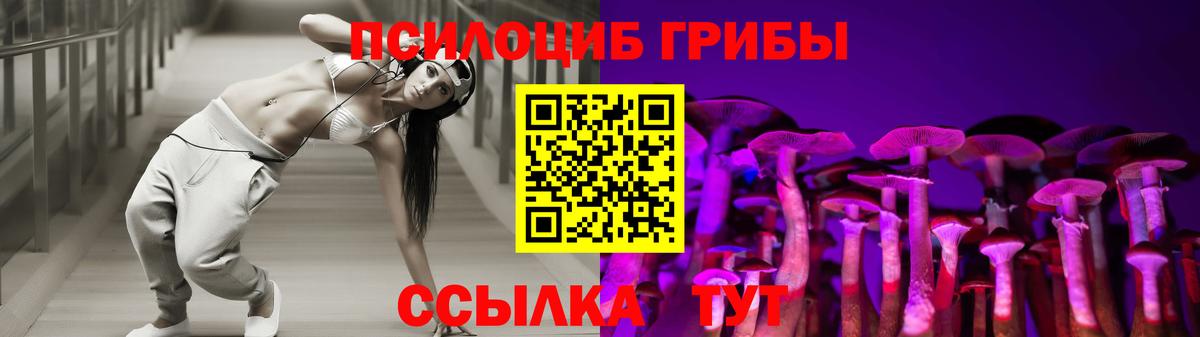 Псилоцибиновые грибы Cubensis  Вход с VPN  Заволжье  Галлюциногенные грибы MAGIC MUSHROOMS 