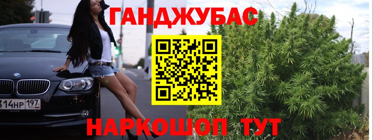 МАРИХУАНА сатива Заволжье
